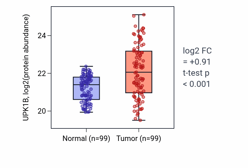 Tumor-vs-normal mass-spec protein box plot for UPK1B in LSCC.
