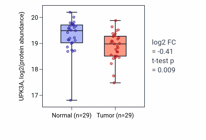 Tumor-vs-normal mass-spec protein box plot for UPK3A in LSCC.
