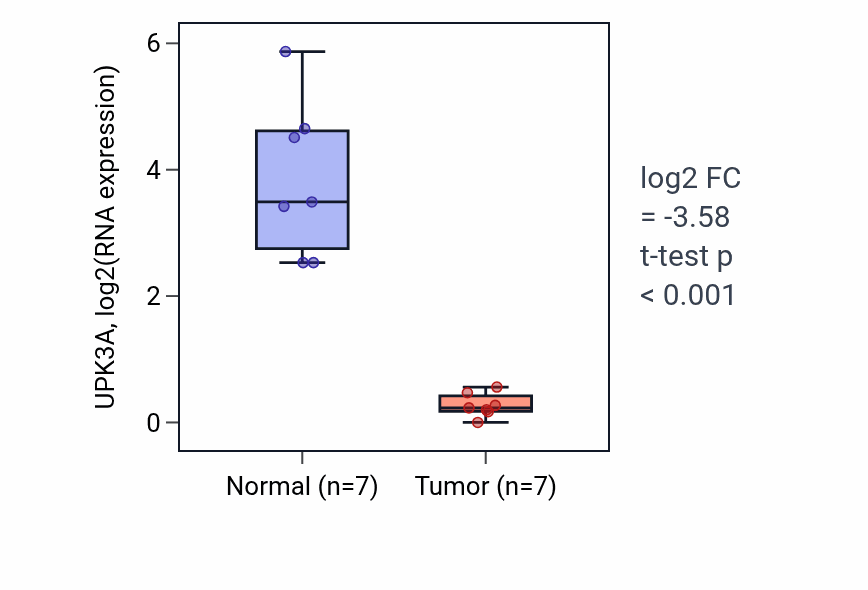 Tumor-vs-normal expression box plot for UPK3A RNA in THCA.