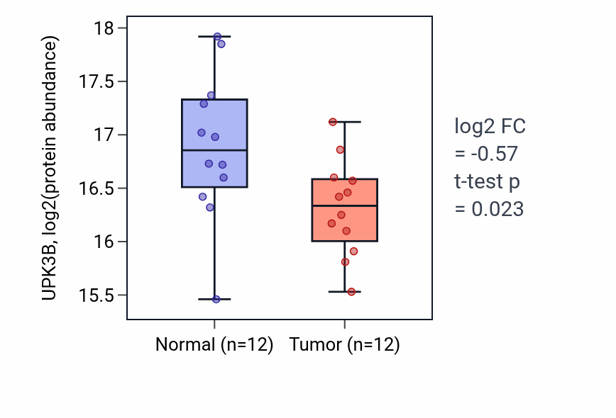 Tumor-vs-normal mass-spec protein box plot for UPK3B in HNSC.