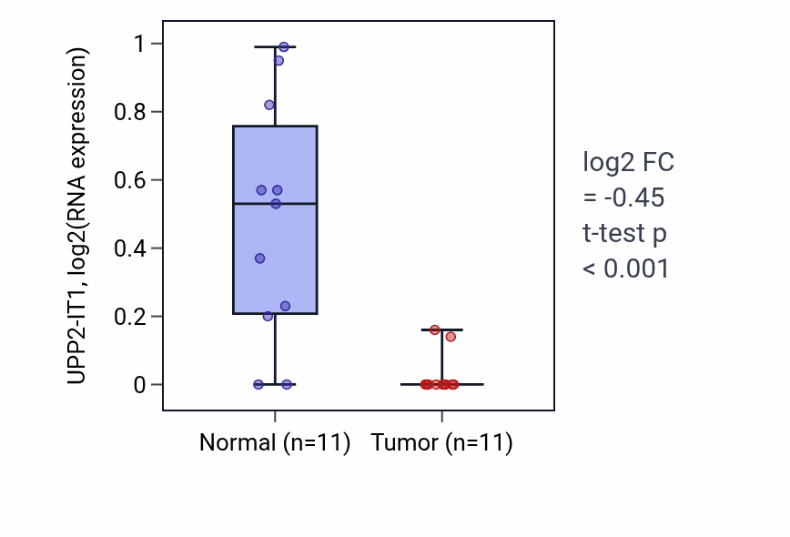 Tumor-vs-normal expression box plot for UPP2-IT1 in KICH.