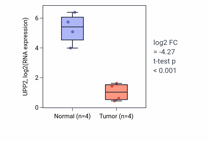 Tumor-vs-normal expression box plot for UPP2 RNA in KIRP.