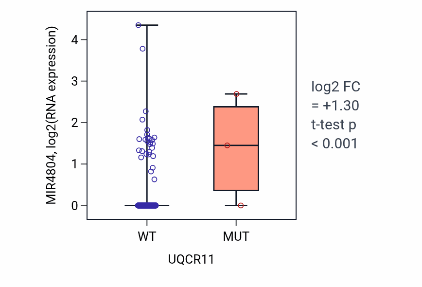 Box plot of MIR4804 in UQCR11-low vs UQCR11-high samples in UCEC.