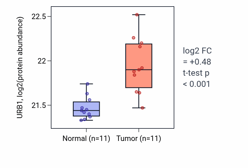 Tumor-vs-normal mass-spec protein box plot for URB1 in CCRCC.