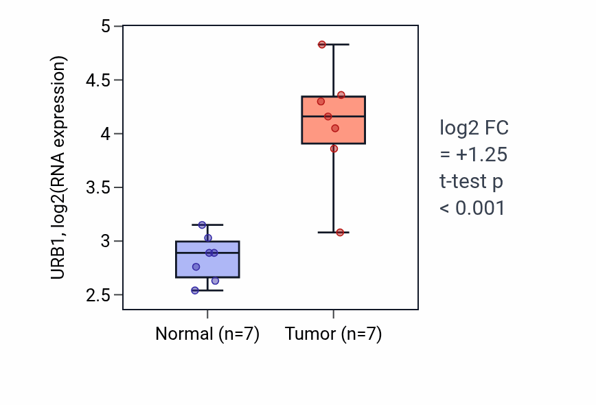 Tumor-vs-normal expression box plot for URB1 RNA in COAD.