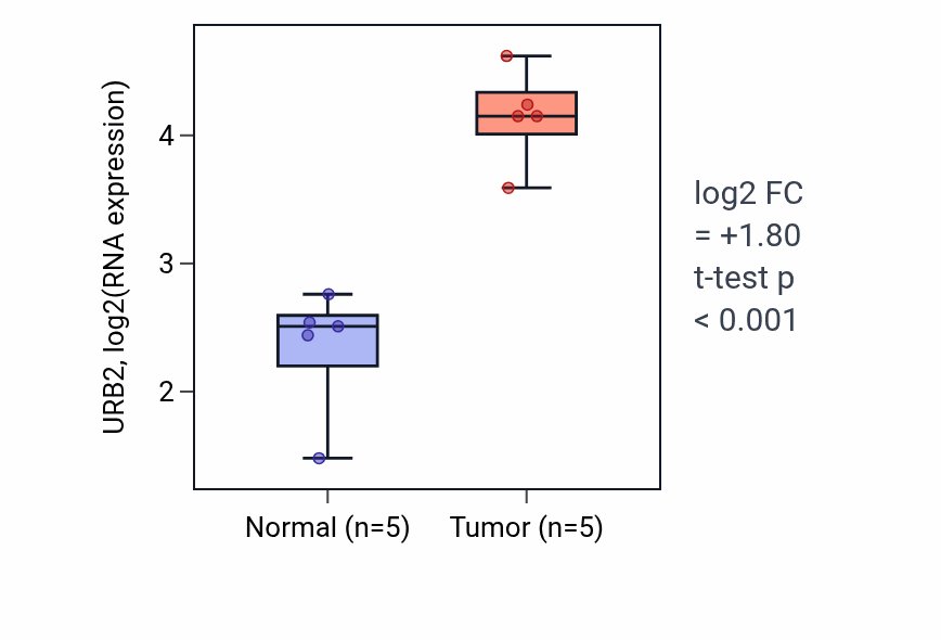 Tumor-vs-normal expression box plot for URB2 RNA in COAD.