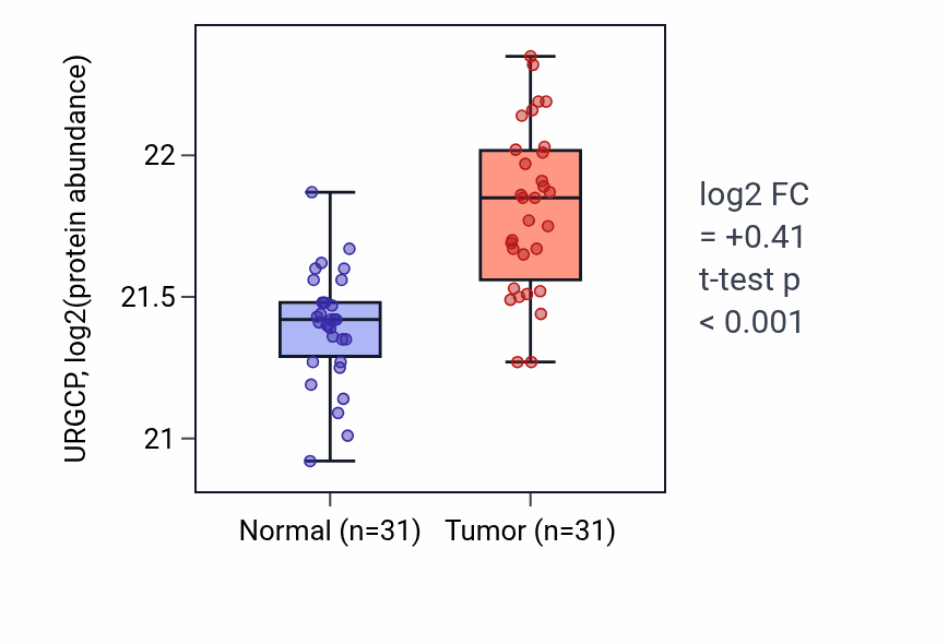 Tumor-vs-normal mass-spec protein box plot for URGCP in LUAD.