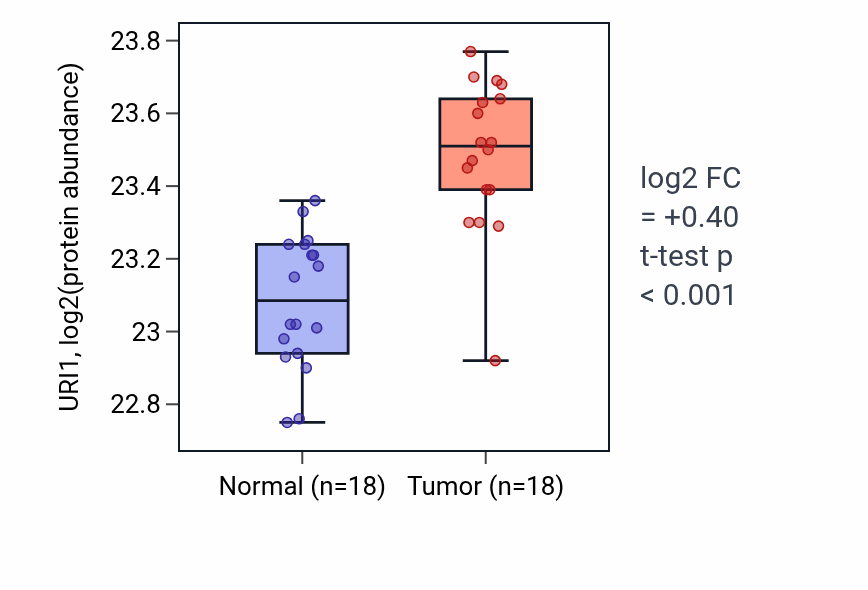 Tumor-vs-normal mass-spec protein box plot for URI1 in COAD.