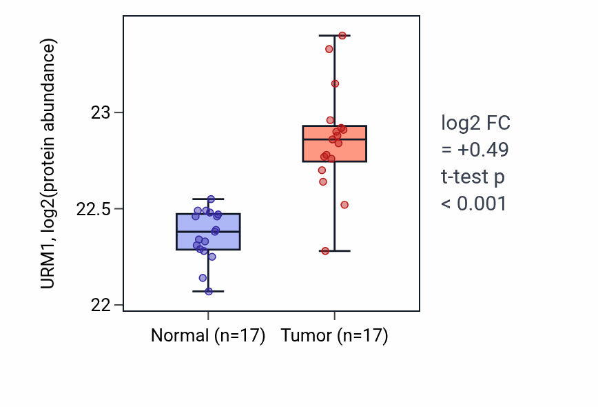 Tumor-vs-normal mass-spec protein box plot for URM1 in CCRCC.