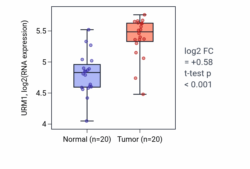 Tumor-vs-normal expression box plot for URM1 RNA in KIRC.