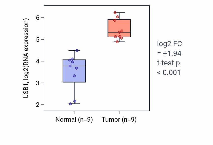 Tumor-vs-normal expression box plot for USB1 RNA in HNSC.