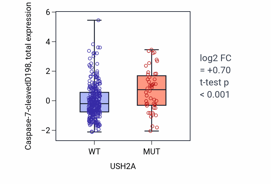 Box plot of Caspase-7-cleavedD198 in USH2A-low vs USH2A-high samples in COAD.