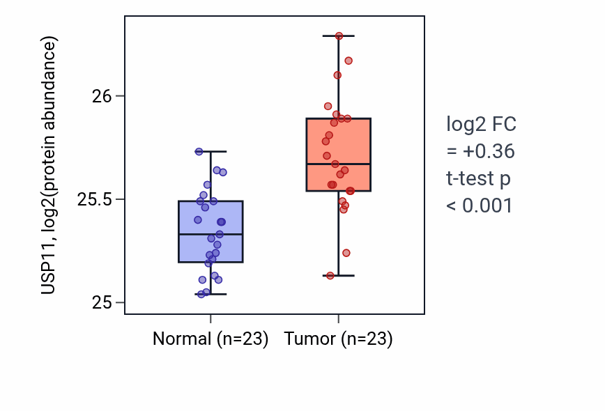 Tumor-vs-normal mass-spec protein box plot for USP11 in HNSC.