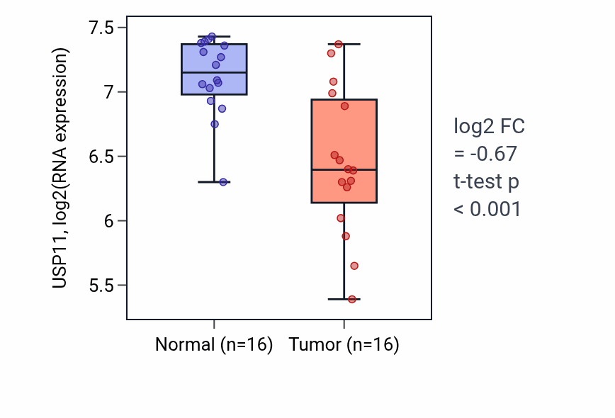 Tumor-vs-normal expression box plot for USP11 RNA in THCA.