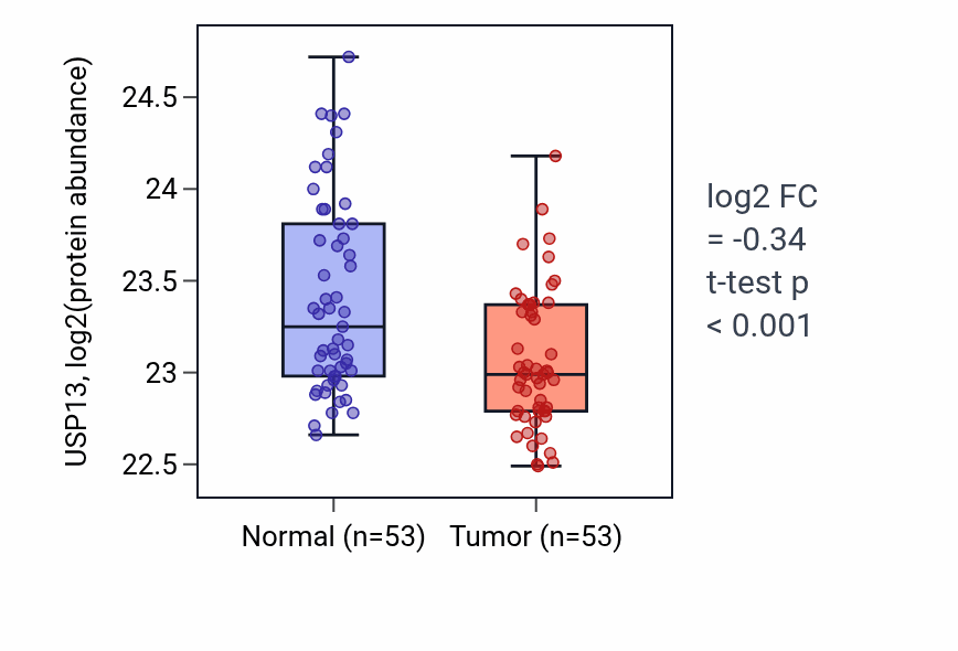 Tumor-vs-normal mass-spec protein box plot for USP13 in HNSC.