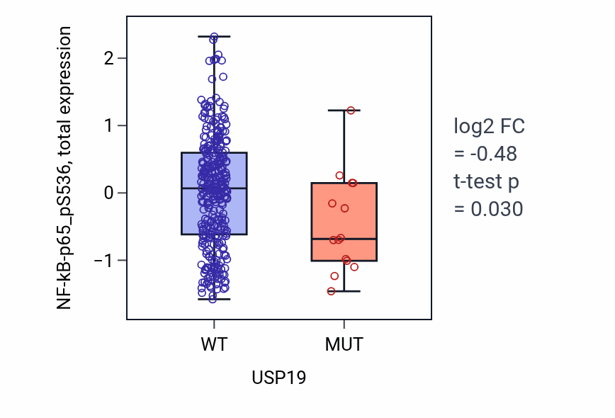 Box plot of NF-kB-p65_pS536 in USP19-low vs USP19-high samples in COAD.