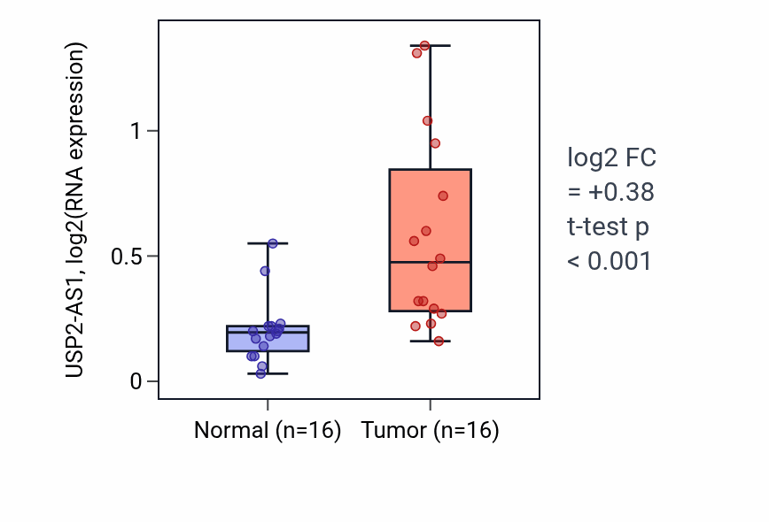 Tumor-vs-normal expression box plot for USP2-AS1 in HNSC.