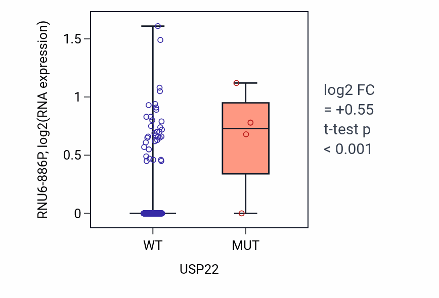 Box plot of RNU6-886P in USP22-low vs USP22-high samples in CESC.