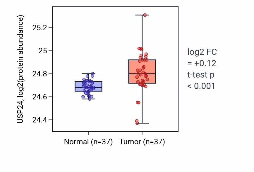 Tumor-vs-normal mass-spec protein box plot for USP24 in LUAD.