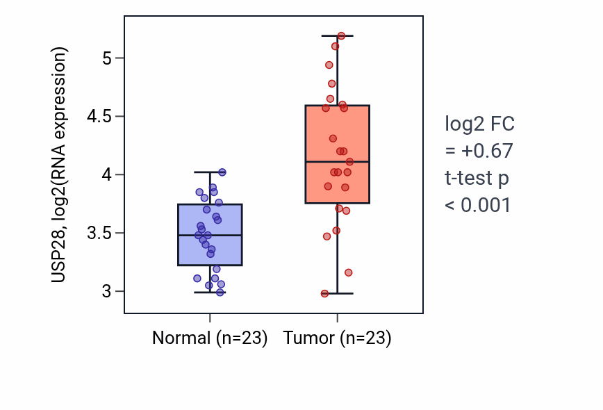 Tumor-vs-normal expression box plot for USP28 RNA in LUAD.