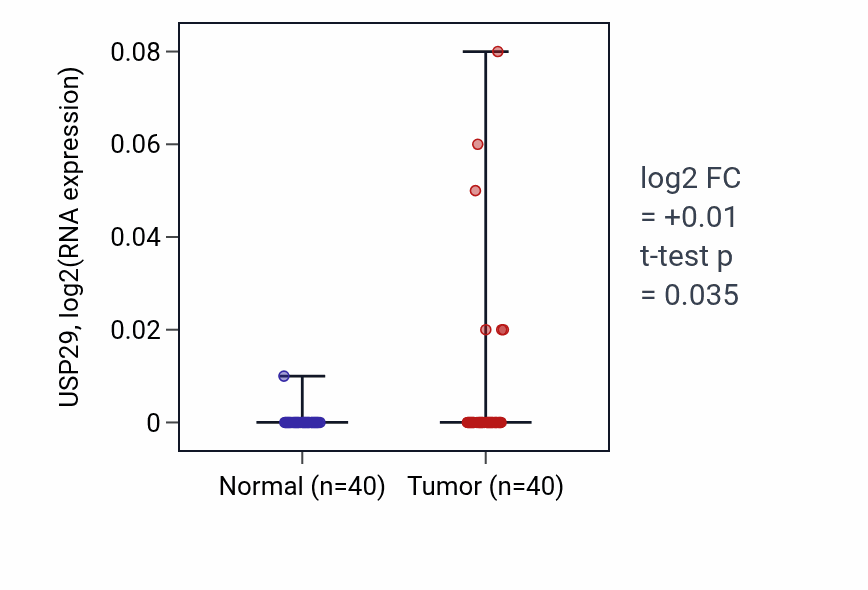 Tumor-vs-normal expression box plot for USP29 in HNSC.