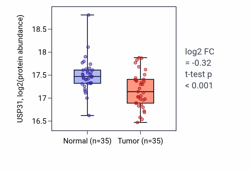 Tumor-vs-normal mass-spec protein box plot for USP31 in LUAD.