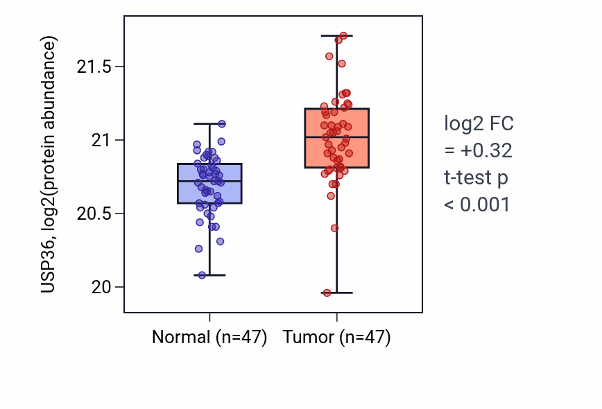 Tumor-vs-normal mass-spec protein box plot for USP36 in CCRCC.