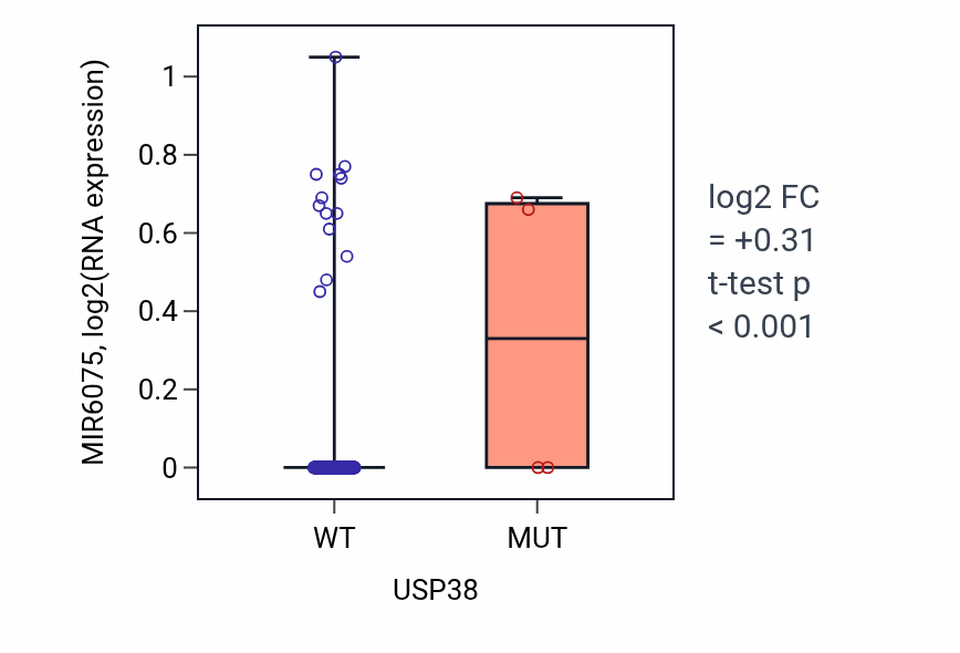 Box plot of MIR6075 in USP38-low vs USP38-high samples in LIHC.