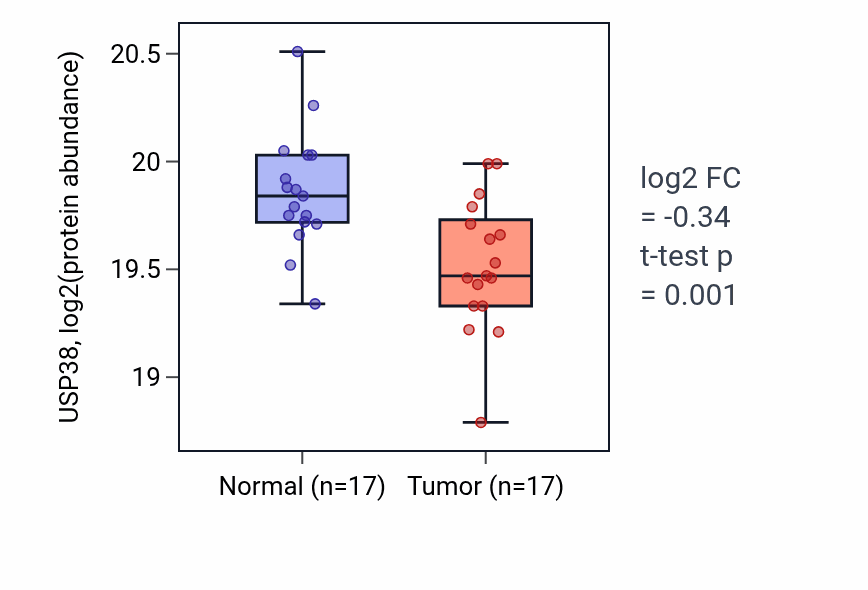 Tumor-vs-normal mass-spec protein box plot for USP38 in HNSC.