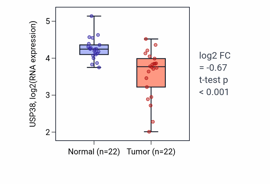 Tumor-vs-normal expression box plot for USP38 RNA in KICH.