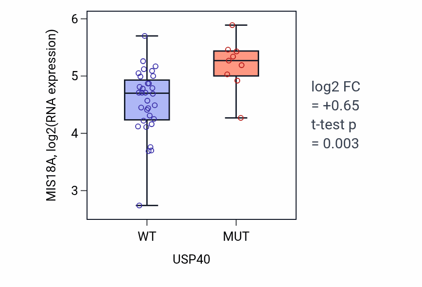 Box plot of MIS18A in USP40-low vs USP40-high samples in STOMACH.