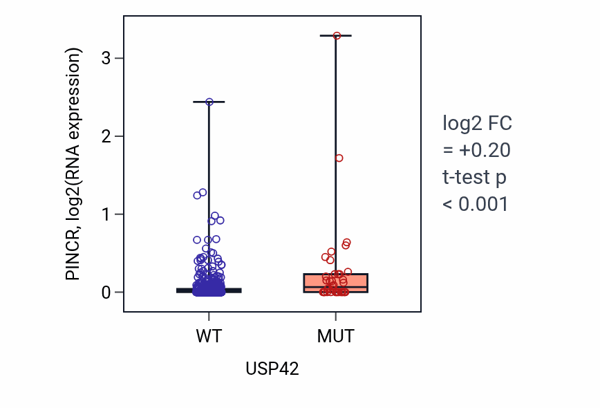 Box plot of PINCR in USP42-low vs USP42-high samples in UCEC.