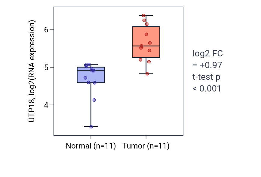 Tumor-vs-normal expression box plot for UTP18 RNA in HNSC.