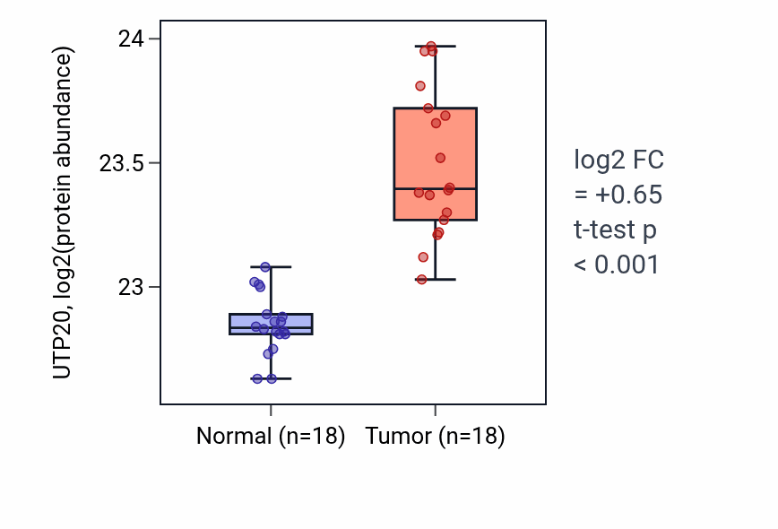 Tumor-vs-normal mass-spec protein box plot for UTP20 in COAD.