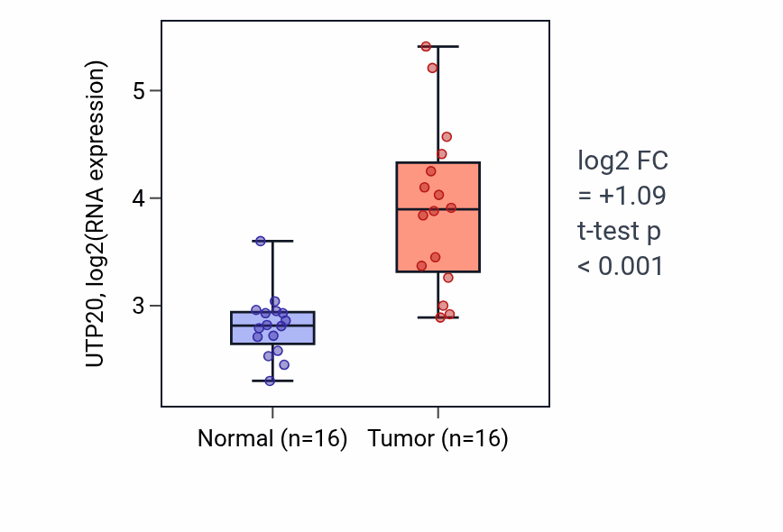 Tumor-vs-normal expression box plot for UTP20 RNA in KIRP.