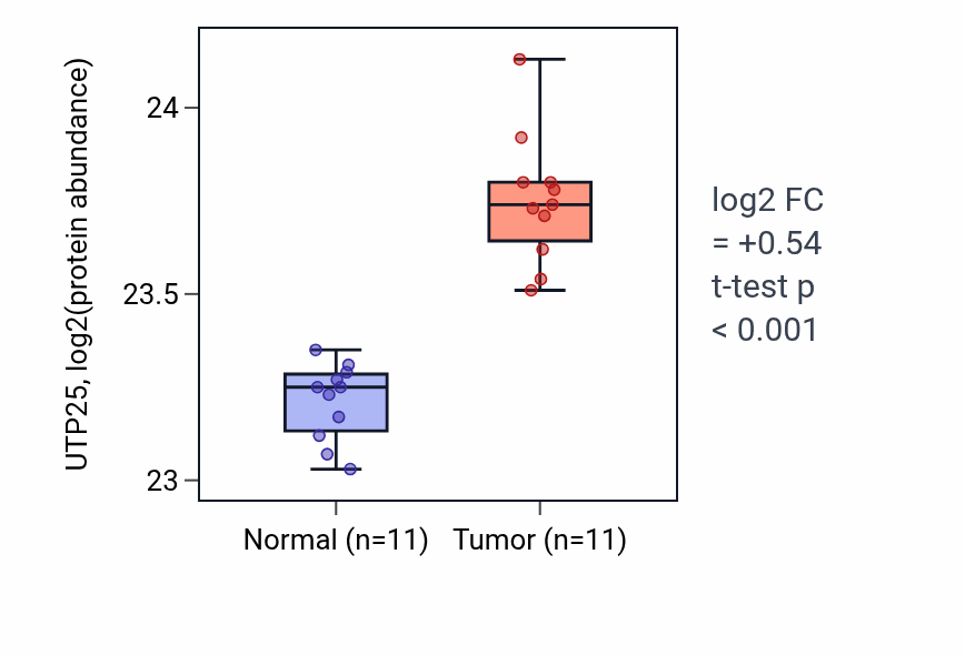 Tumor-vs-normal mass-spec protein box plot for UTP25 in CCRCC.