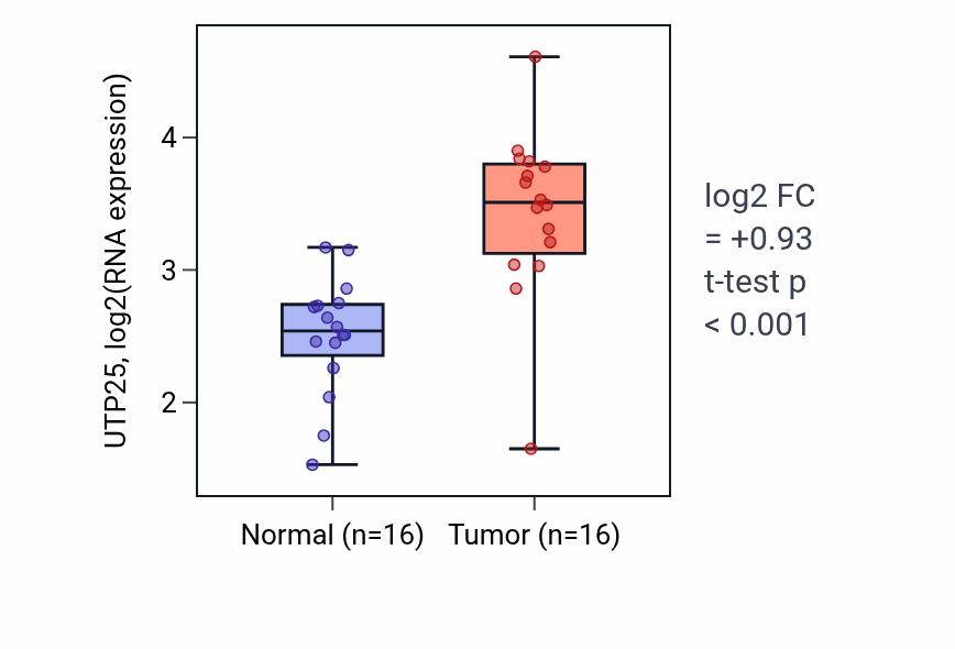 Tumor-vs-normal expression box plot for UTP25 RNA in HNSC.
