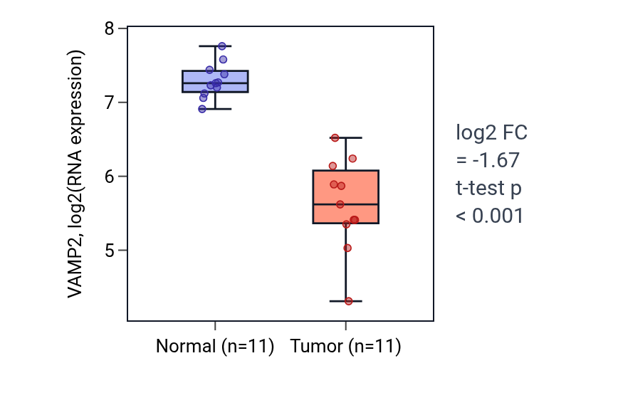 Tumor-vs-normal expression box plot for VAMP2 in KICH.