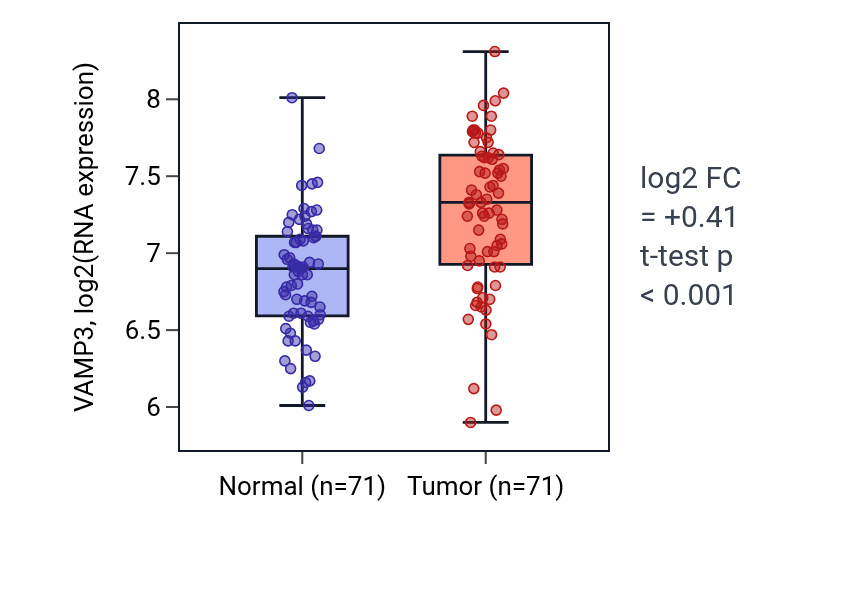 Tumor-vs-normal expression box plot for VAMP3 RNA in KIRC.