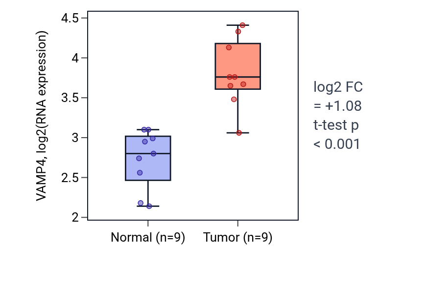 Tumor-vs-normal expression box plot for VAMP4 in HNSC.