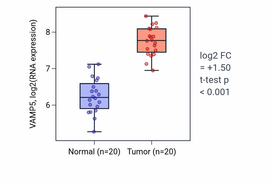 Tumor-vs-normal expression box plot for VAMP5 RNA in KIRC.