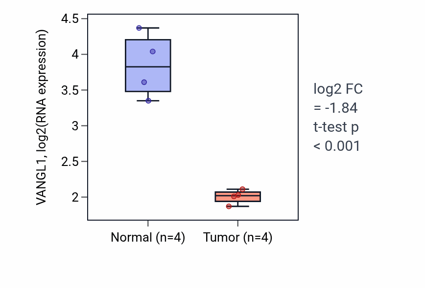 Tumor-vs-normal expression box plot for VANGL1 RNA in THCA.