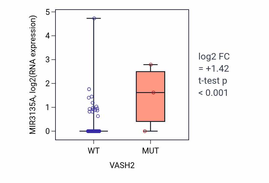 Box plot of MIR3135A in VASH2-low vs VASH2-high samples in COAD.