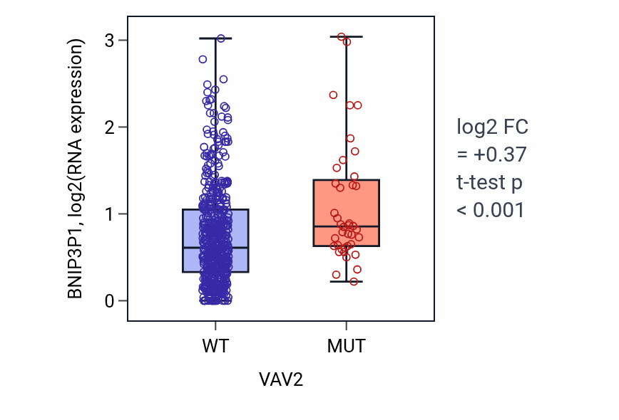 Box plot of BNIP3P1 in VAV2-low vs VAV2-high samples in UCEC.
