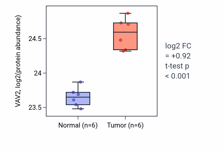 Tumor-vs-normal mass-spec protein box plot for VAV2 in HNSC.