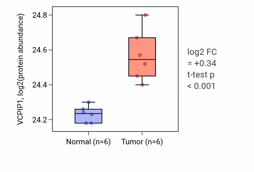 Tumor-vs-normal mass-spec protein box plot for VCPIP1 in HNSC.
