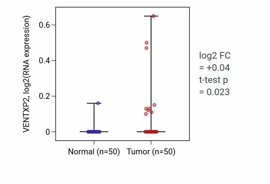 Tumor-vs-normal expression box plot for VENTXP2 in LIHC.