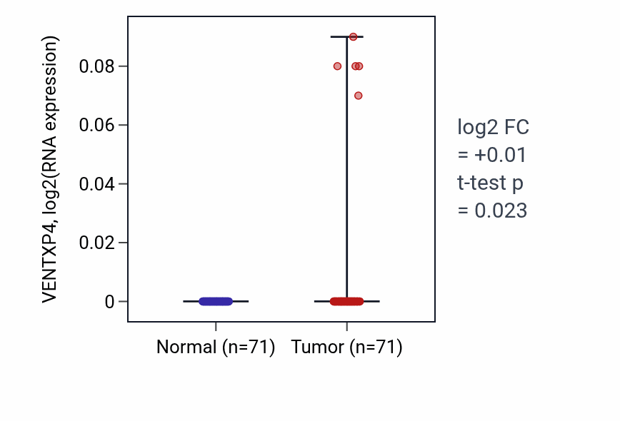 Tumor-vs-normal expression box plot for VENTXP4 in KIRC.