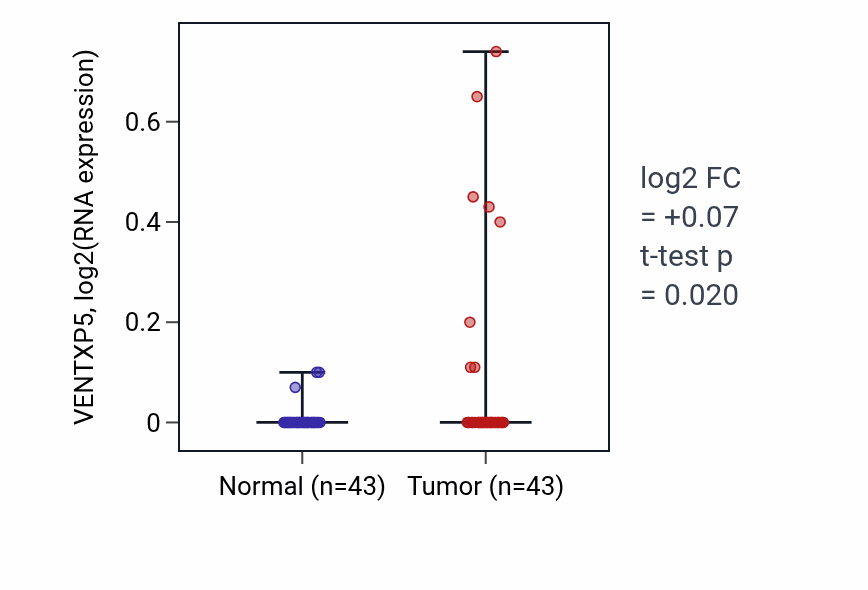 Tumor-vs-normal expression box plot for VENTXP5 in HNSC.