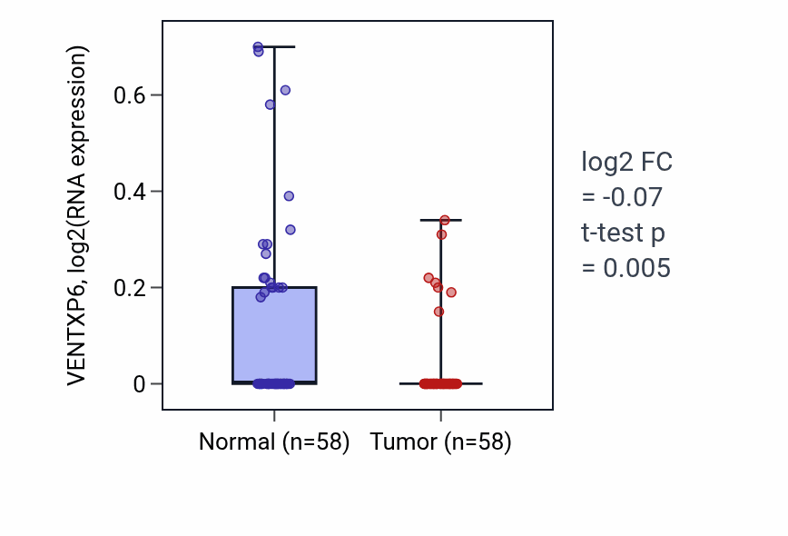 Tumor-vs-normal expression box plot for VENTXP6 in THCA.